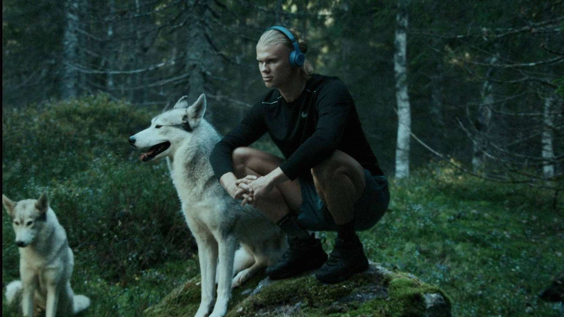 球队的整体 球队的整体